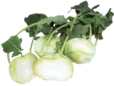 Kohlrabi  im aktuellen Marktkauf Prospekt für 0,99 €