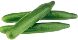 Marktkauf - Salatgurke Angebot im Prospekt Salatgurke bei Marktkauf im Prospekt "" für 0,49 €