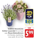 Echter Lavendel im Angebot bei EDEKA in Frankfurt Echter Lavendel Angebote von EDEKA Herzstücke bei EDEKA Frankfurt für 5,39 €