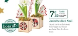 Promo Jacinthe déco Noël à 7,50 € dans le catalogue Botanic à Mouans-Sartoux