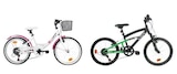 Vélo City 20" Panier Fille ou VTT 20" FS - TOP LIFE - Carrefour à Bourg-en-Bresse Vélo City 20" Panier Fille ou VTT 20" FS - TOP LIFE en promo chez Carrefour Bourg-en-Bresse à 169,99 €