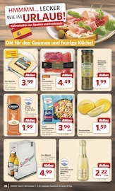 Freixenet-Sekt im combi Prospekt in Emden Aktueller combi Prospekt mit Freixenet-Sekt, "Markt - Angebote", Seite 16