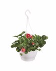 Aktuelle Erdbeeren Angebote bei Lidl in Koblenz Aktuelles Erdbeer-Ampel Angebot bei Lidl in Koblenz ab 4,99 €