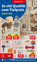 Bett Angebot im aktuellen Lidl Prospekt auf Seite 24