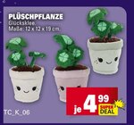 Plüschpflanze Glücksklee bei E center im Seligweiler Prospekt für 