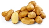 Aktuelles Deutsche Speisekartoffeln Angebot bei Penny in Berlin ab 2,99 €