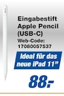 Eingabestift Apple Pencil (USB-C) Angebote von Apple bei expert Reutlingen für 88,00 €