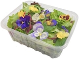 Blütensalat Mix im Angebot bei REWE in Rüsselsheim Blütensalat Mix Angebote von REWE Feine Welt bei REWE Rüsselsheim für 1,59 €
