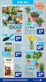 Aktueller ALDI SÜD Prospekt mit Blumen, "Gutes für Alle.", Seite 19