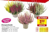 Knospenheide „Gardengirls" Angebot in Jemgum Knospenheide „Gardengirls" im aktuellen Prospekt bei toom Baumarkt in Jemgum
