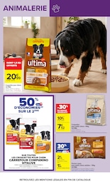 Offre Croquettes Chien dans le catalogue Carrefour du moment à la page 49