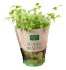 Pflanzen Kölle Teltow - Küchenkraut Angebot im Prospekt Küchenkraut bei Pflanzen Kölle im Teltow Prospekt für 2,99 €