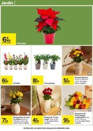 Prix et réduction Orchidée dans le prospectus Carrefour en cours Offre Orchidée dans le catalogue Carrefour du moment à la page 56