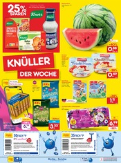 Batterien AAA im Netto Marken-Discount Prospekt in Paderborn Aktueller Netto Marken-Discount Prospekt mit Batterien AAA, "Aktuelle Angebote", Seite 2