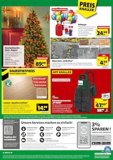 Tannenbaum im aktuellen Hagebaumarkt Prospekt (Paderborn) Tannenbaum im Hagebaumarkt Prospekt "SO günstig geht das!" mit 20 Seiten (Paderborn)