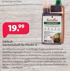 Darmvitalsaft für Pferde bei Kiebitzmarkt im Raesfeld Prospekt für 19,99 €