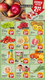 Tierfutter im REWE Prospekt in Menden Aktueller REWE Prospekt mit Tierfutter, "Dein Markt", Seite 4