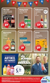 Jägermeister im Getränke Hoffmann Prospekt in Ibbenbüren Aktueller Getränke Hoffmann Prospekt mit Jägermeister, "Aktuelle Angebote", Seite 8