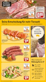 Aktueller REWE Prospekt mit Pfanne, "Dein Markt", Seite 13