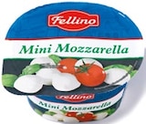 Mini Mozzarella im Netto mit dem Scottie Prospekt Mini Mozzarella von Fellino im aktuellen Netto mit dem Scottie Prospekt für 0,99 €