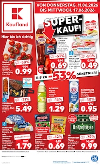 Aktueller Kaufland Prospekt (Weißensee, 50 Seiten zum blättern Kaufland Prospekt Hier bin ich richtig mit 50 Seiten