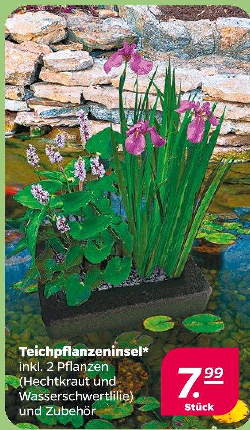 Teichpflanzeninsel