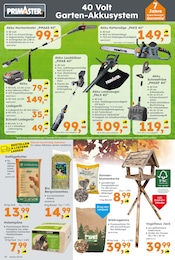 Pflanzen im Globus-Baumarkt Prospekt in Lahr Aktueller Globus-Baumarkt Prospekt mit Pflanzen, "Immer eine Idee besser", Seite 12