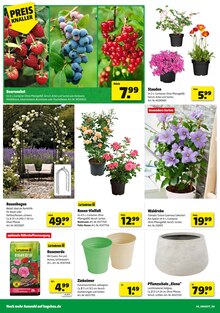 Blumentopf im Hagebaumarkt Prospekt "FREU DICH AUF DRAUSSEN" mit 12 Seiten (Karlsruhe)