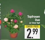 Angebot im E center Schwabmünchen Prospekt E center Schwabmünchen Prospekt mit im Angebot für 2,99 €