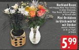 Hochland Rosen bei EDEKA im Alsdorf Prospekt für 5,99 €