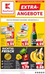 Aktueller Kaufland Supermarkt Prospekt für Falkenau: EXTRA-ANGEBOTE mit 8} Seiten, 02.01.2026 - 07.01.2026
