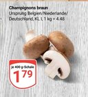Champignons braun bei GLOBUS im Prospekt "" für 1,79 €
