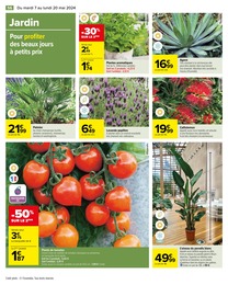 Offre Plante Aromatique dans le catalogue Carrefour du moment à la page 58