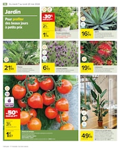 Promos Plantes dans le catalogue "Carrefour" de Carrefour à la page 58