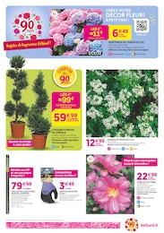 Offre Paillage dans le catalogue Delbard du moment à la page 4