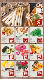 Tierfutter im nahkauf Prospekt in Wiesbaden Aktueller nahkauf Prospekt mit Tierfutter, "nichts liegt näher", Seite 3