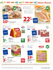 Promos Filet De Poulet dans le catalogue "LA RENTRÉE À PRIX K.O." de Auchan Hypermarché à la page 27 Promos Filet De Poulet dans le catalogue "LA RENTRÉE À PRIX K.O." de Auchan Hypermarché à la page 27