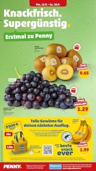 Aktueller Penny Prospekt "Wer günstig will, muss Penny." Seite 2 von 41 Seiten