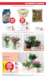 Promos Plante Verte dans le catalogue "Super U" de Super U Plante Verte en promo dans le catalogue Super U à la page 29