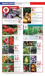 Offre Arbre Fruitier dans le catalogue Hyper U du moment à la page 8