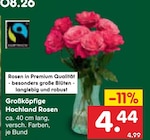 Aktuelle Blumen Angebote bei Netto Marken-Discount in Dresden Aktuelles Großköpfige Hochland Rosen Angebot bei Netto Marken-Discount in Dresden ab 4,44 €