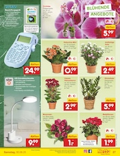 Aktueller Netto Marken-Discount Prospekt mit Beleuchtung, "Aktuelle Angebote", Seite 39