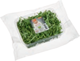 Aktuelles Rucola Angebot bei tegut in Frankfurt (Main) ab 1,49 €