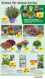 Aktueller toom Baumarkt Prospekt mit Mixer, "Respekt, wer's selber macht.", Seite 3