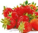 Netto mit dem Scottie - Erdbeeren Angebot im Prospekt Erdbeeren bei Netto mit dem Scottie im Prospekt "" für 1,79 €