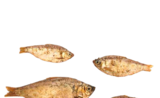 Aktuelle Fisch Angebote bei Zookauf in Hagen (Stadt der FernUniversität) Aktuelles Sprotten Angebot bei Zookauf in Hagen (Stadt der FernUniversität) ab 3,59 €