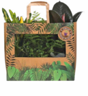 Hagebaumarkt Osterholz-Scharmbeck - Grünpflanzen-Mix Angebot im Prospekt Grünpflanzen-Mix bei Hagebaumarkt im Osterholz-Scharmbeck Prospekt für 9,00 €