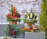toom Baumarkt Schenkenberg - Grabgestecke Angebot im Prospekt Grabgestecke bei toom Baumarkt im Schenkenberg Prospekt für 7,99 €