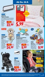 Buggy im Lidl Prospekt in Konstanz Aktueller Lidl Prospekt mit Buggy, "LIDL LOHNT SICH", Seite 37