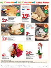 Promos Orchidée dans le catalogue "LA RENTRÉE À PRIX K.O." de Auchan Hypermarché Orchidée en promo dans le catalogue Auchan Hypermarché à la page 29